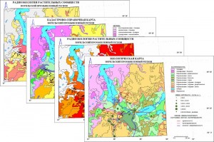 Геоэкологический стандарт территории Норильского промышленного региона